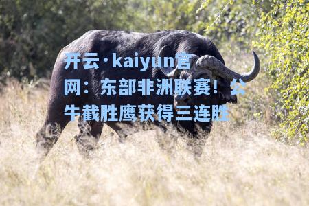 开云·kaiyun官网：东部非洲联赛！公牛截胜鹰获得三连胜